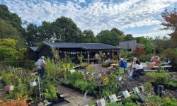 Impressie van Kwekerij Arborealis