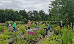Impressie van Arjan Schepers Vaste Planten