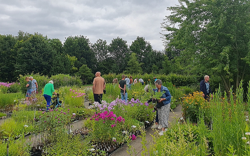 Impressie van Arjan Schepers Vaste Planten