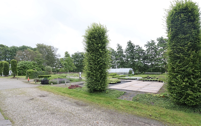 Impressie van Harco kwekerij