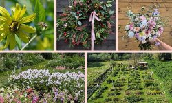 Impressie van Koninginnetuin