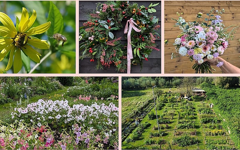 Impressie van Koninginnetuin