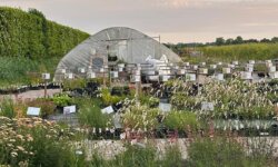 Impressie van Kwekerij Krukla