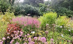 Impressie van Kwekerij Pieters Planten