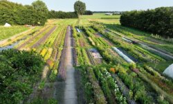 Impressie van WIJdehorst