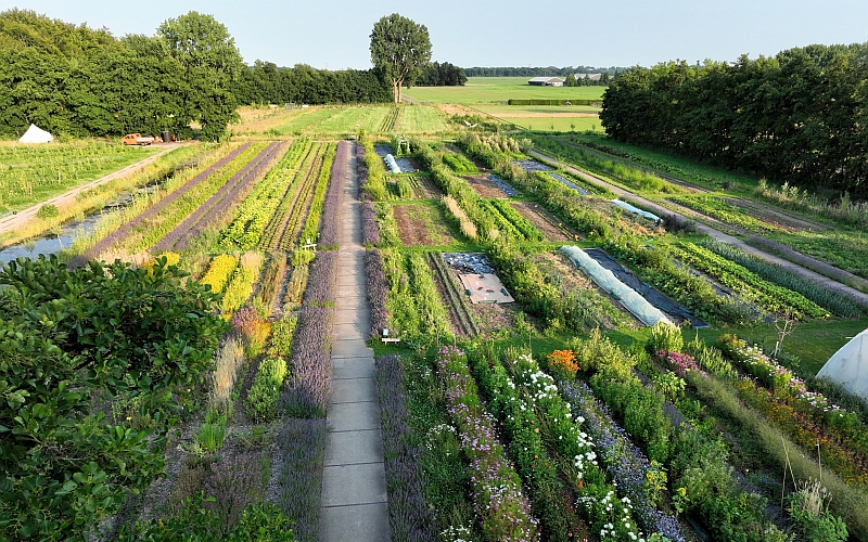 Impressie van WIJdehorst