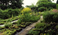 Impressie van Wilde planten kwekerij