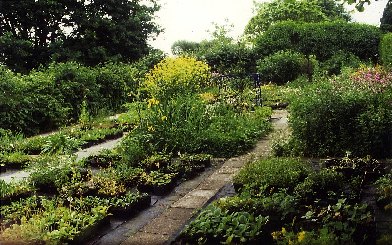 Impressie van Wilde planten kwekerij