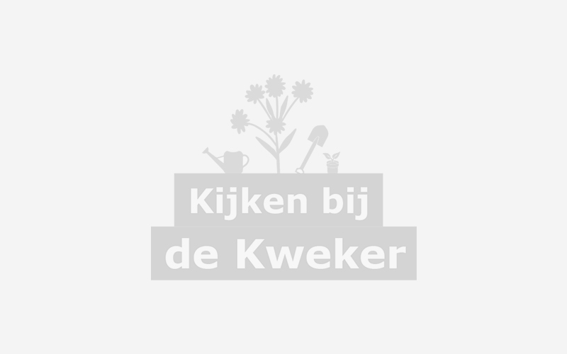 Impressie van Kwekerij Flora voor Fauna