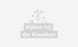 Impressie van René Zijerveld